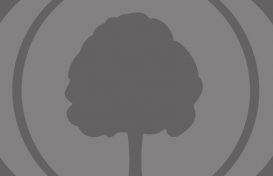 Webinaire : l’enregistrement de ‘L’éditeur de l’arbre amélioré.’