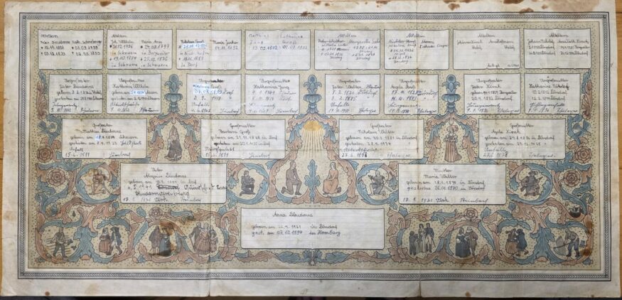 Quatre cents ans sur une seule feuille : le tableau d&rsquo;ascendance de la famille Dieudonné.