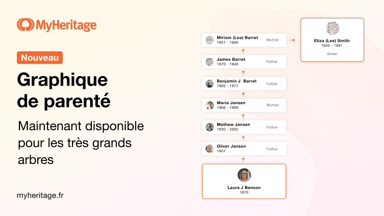 Graphique de parenté maintenant disponible pour les très grands arbres