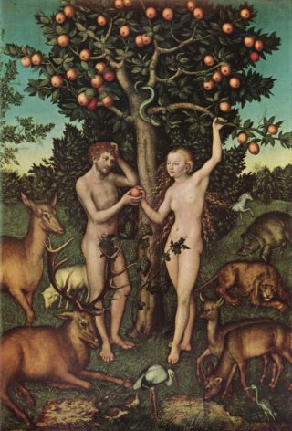Adam et Eve à la racine de notre arbre généalogique ?