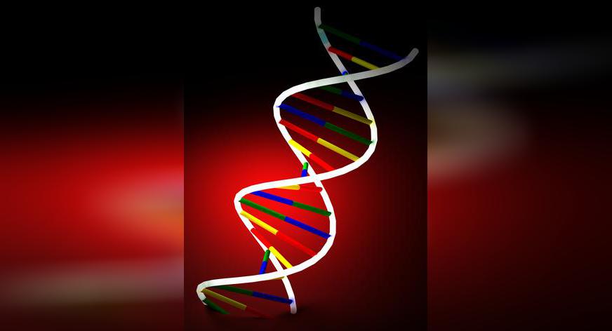 Les tests ADN à des fins généalogiques